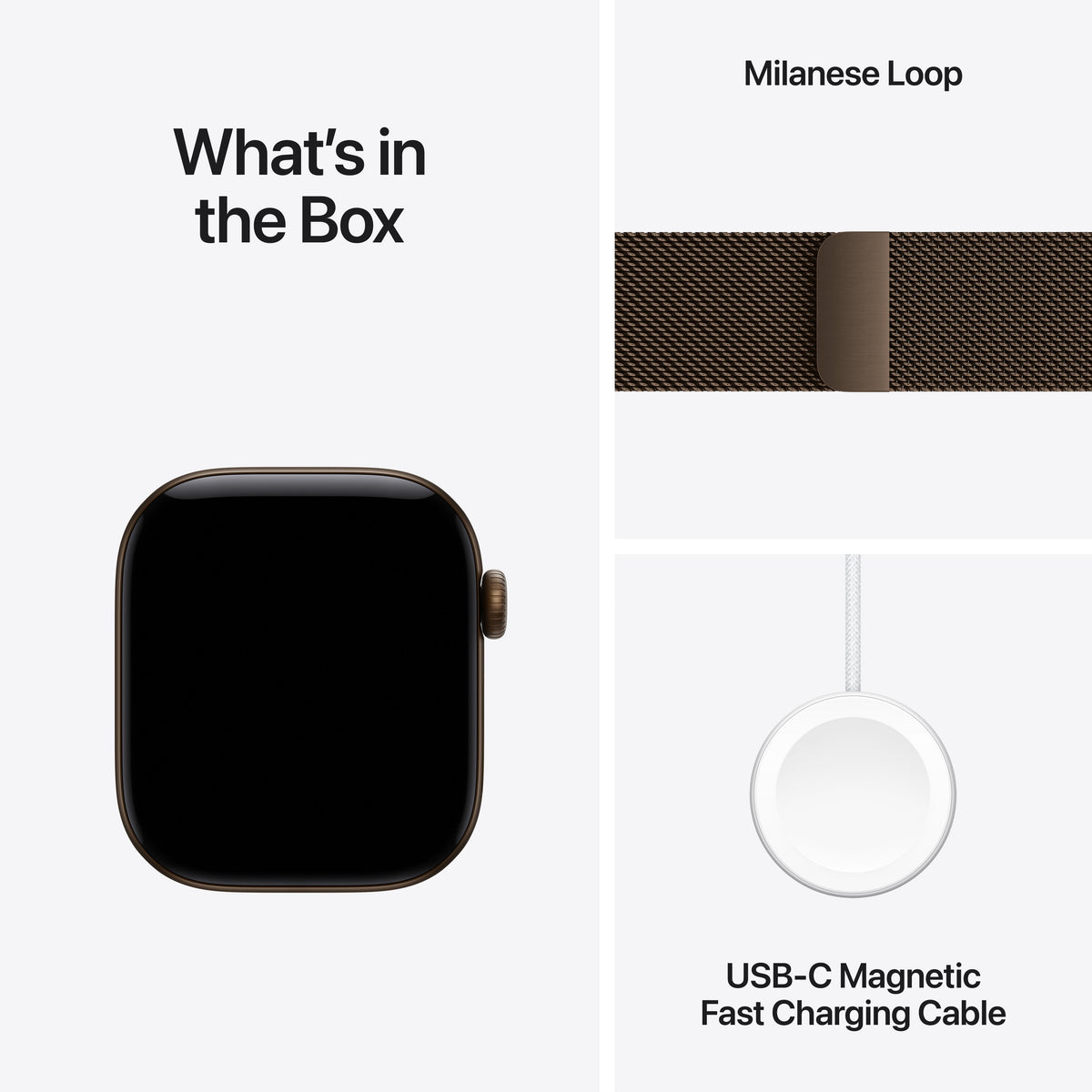 Apple Watch Series 12 with Milanese Loop