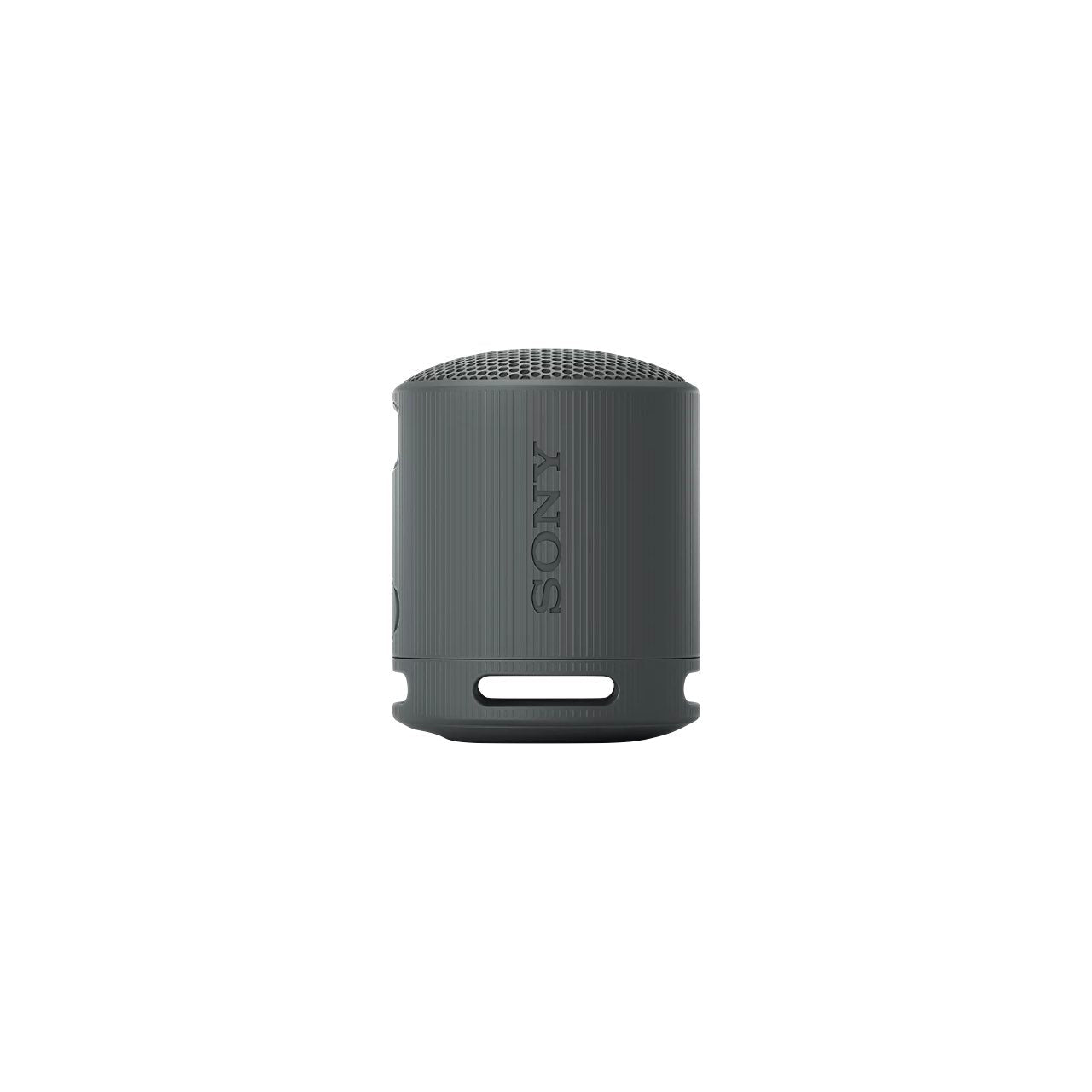 Sony XB100 Portable Wireless Speaker - Black (SRS-XB100/BCE)