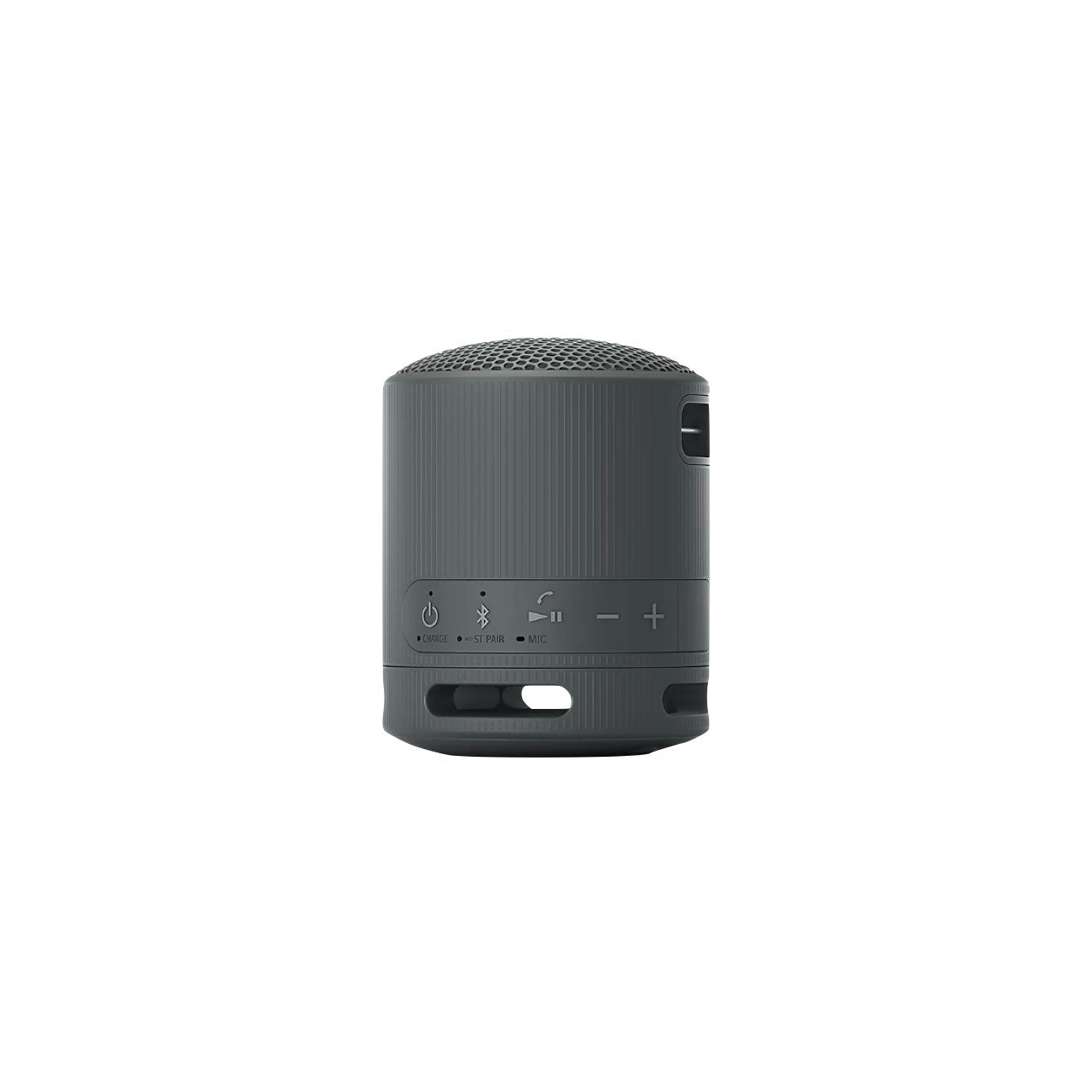 Sony XB100 Portable Wireless Speaker - Black (SRS-XB100/BCE)