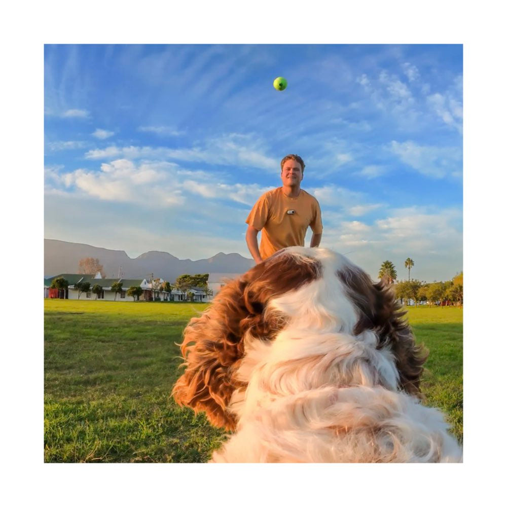 Insta360 Pet Harness Mount Size M