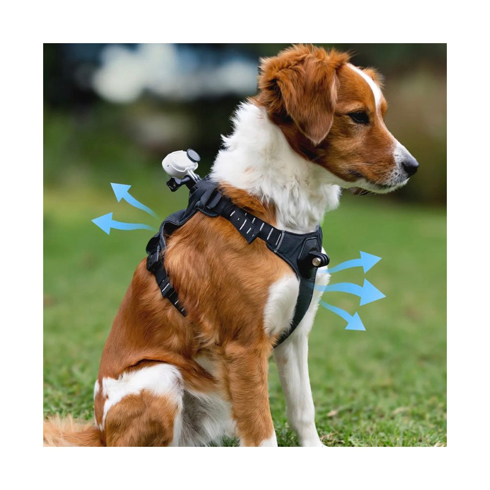 Insta360 Pet Harness Mount Size M