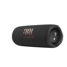 JBL Flip 6