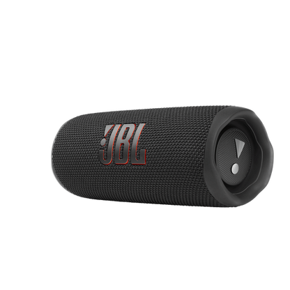 JBL Flip 6