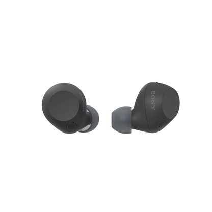 Sony WF-C710N Wireless Earbuds