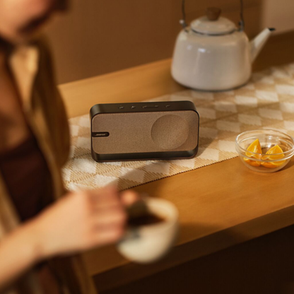 Bose Soundlink Home Bluetooth Speaker 5V