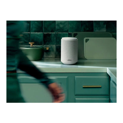 Bose Lifestyle Ultra Speaker 230V