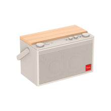 Fender ELIE 12 Bluetooth Speaker