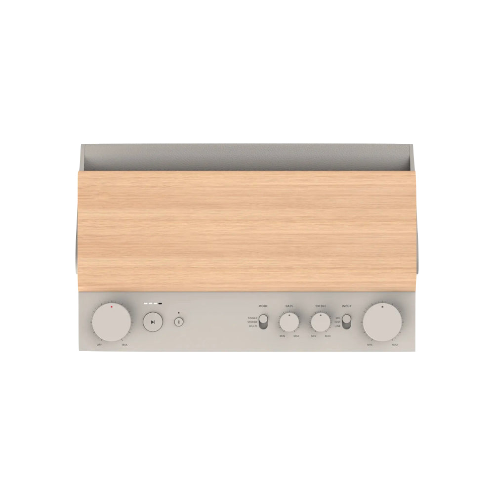 Fender ELIE 12 Bluetooth Speaker