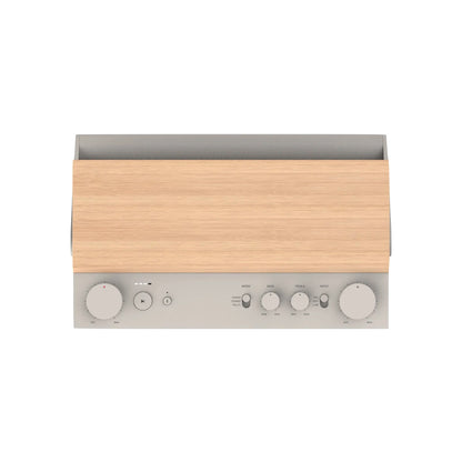 Fender ELIE 12 Bluetooth Speaker
