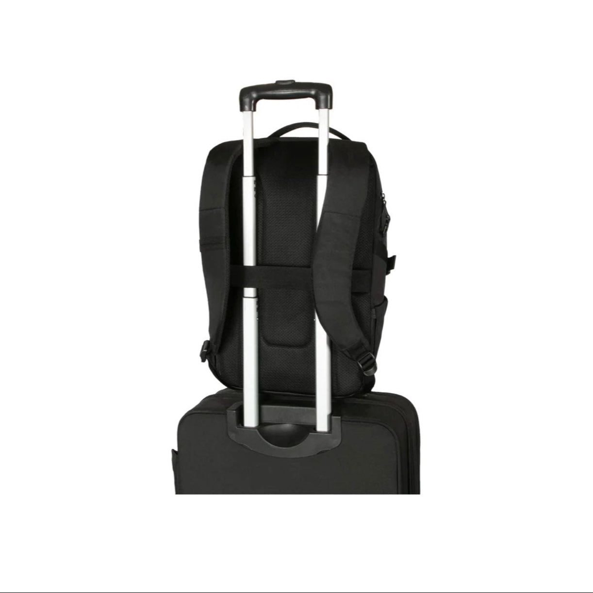 Targus 15-16” Terra Backpack